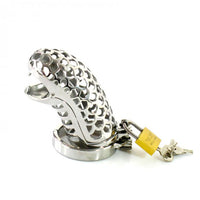The Basilisk stainless steel penis cage combines secure incarcerator design with customizable fit. This cock cage, featuring gatling ring options, ensures comfort and psychological allure.