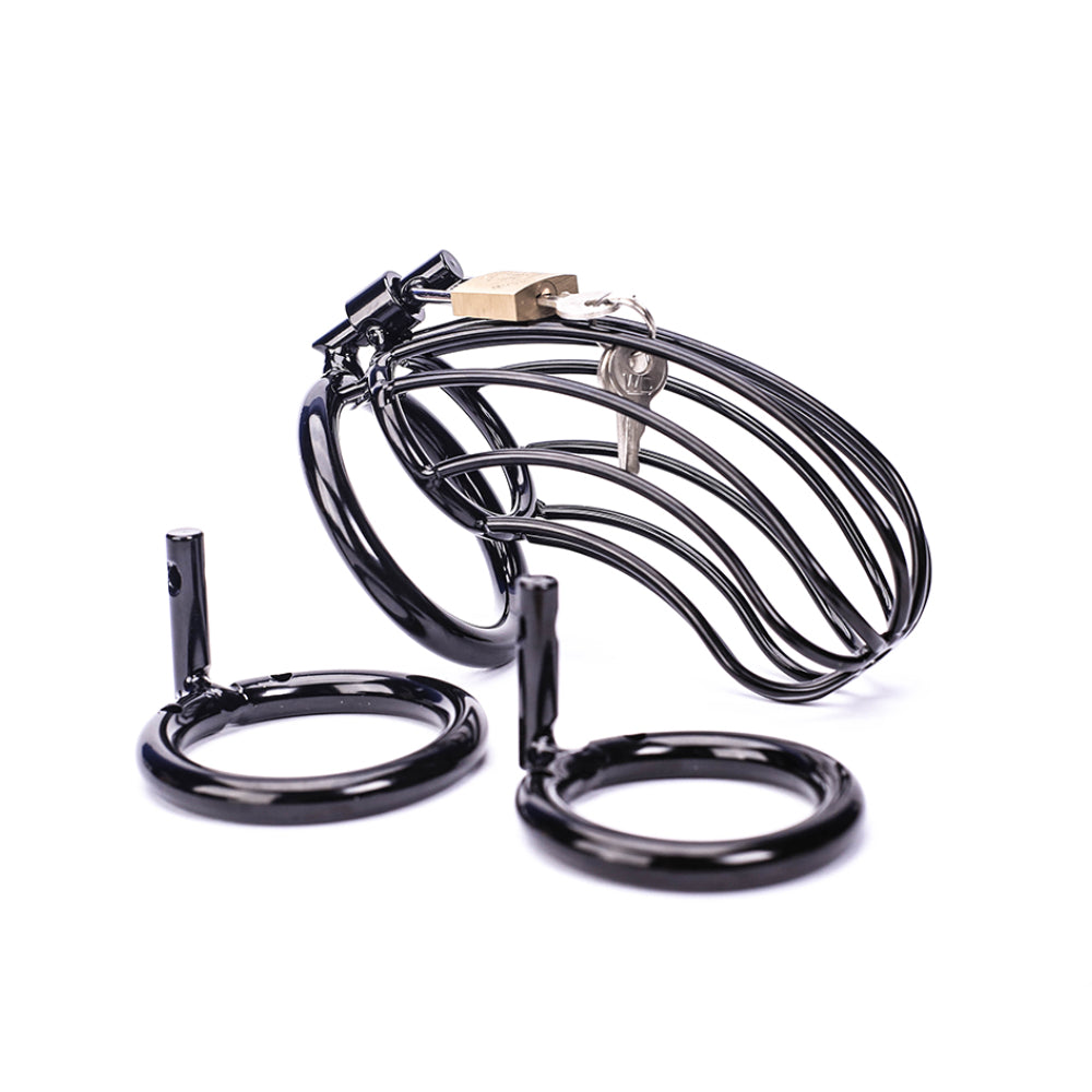 Experience ultimate control with the Eyes On Her Prize Black Cock cage a stainless steel device featuring programmable vibrating modes and electrosex stimulation. With its rechargeable design and vibration settings, elevate your intimate adventures and explore new realms of pleasure.