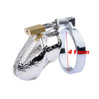 Dimly lit room enhances allure of the intricate Dragon Tamer. This steel penis cage, with its dragon scales, sparks fantasy, controlling urges, yet allowing hygiene ease. Living commitment!