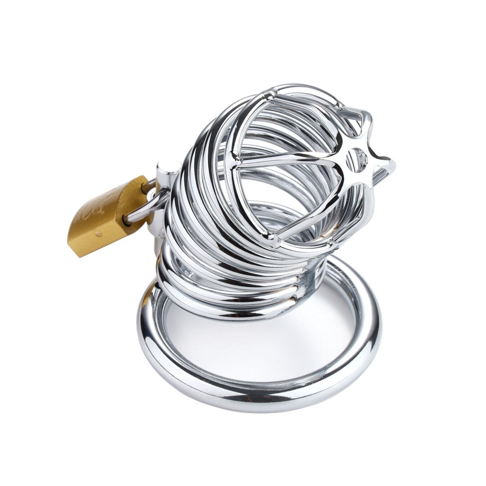 Ringed Metal Chastity Cage