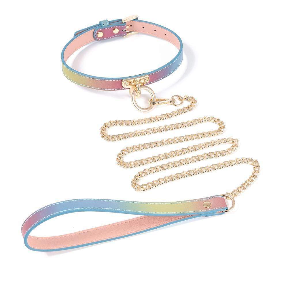 Mischievous Rainbow and Gold Leather Collar With Leash