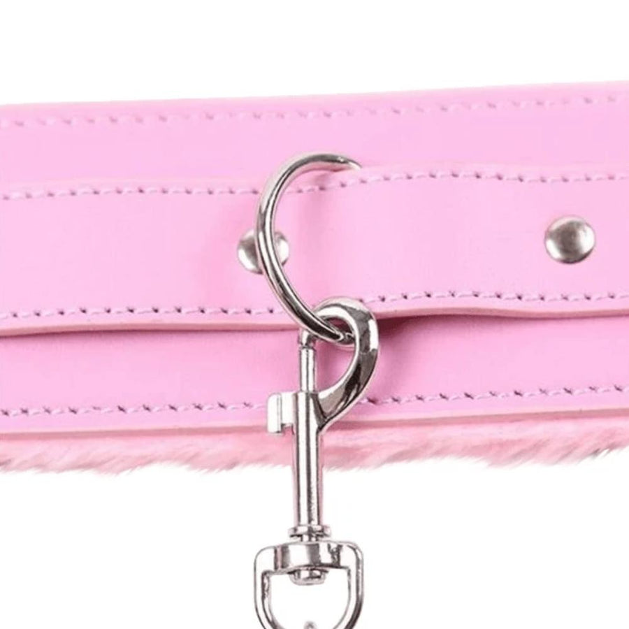 Sweet 'n Sexy Pink Leather Collar With Leash