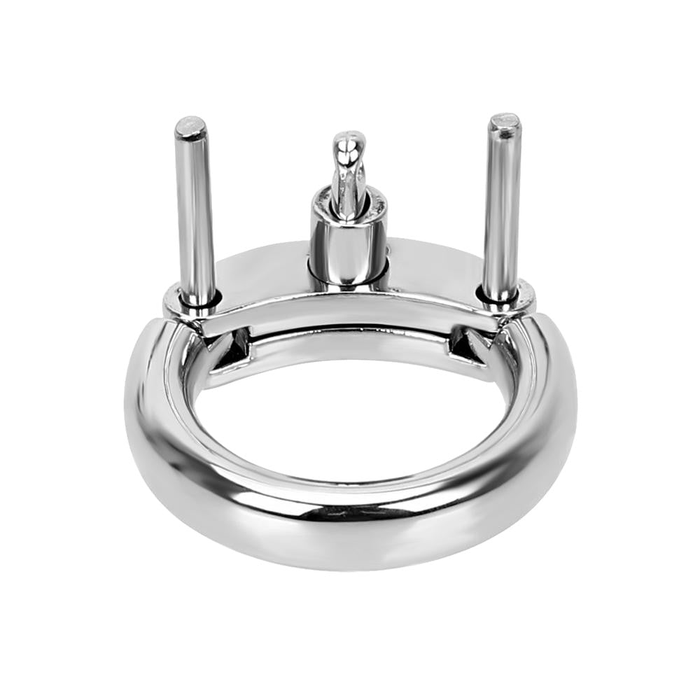 Accessory Ring for Intimate Inmate Metal Cage